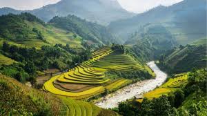 ASSAM, MEGHALAYA ,NAGALAND, ARUNACHAL